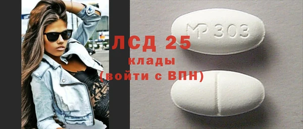 ГАЛЛЮЦИНОГЕННЫЕ ГРИБЫ Богданович