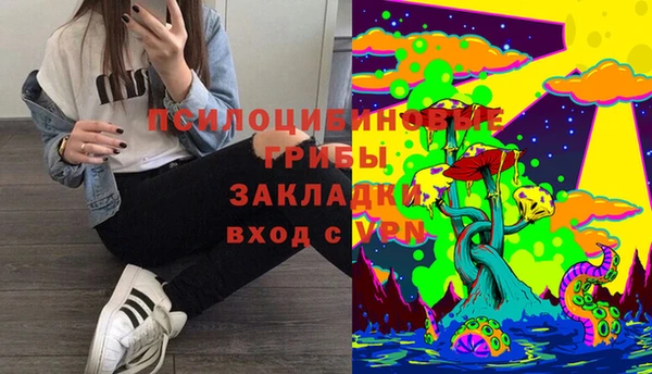 ГАЛЛЮЦИНОГЕННЫЕ ГРИБЫ Богородицк