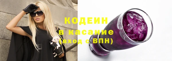 ГАЛЛЮЦИНОГЕННЫЕ ГРИБЫ Богданович