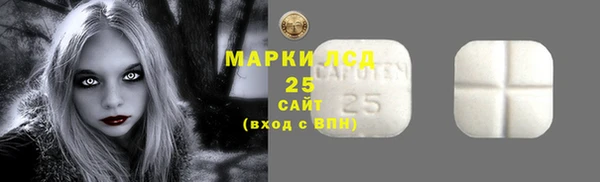 ГАЛЛЮЦИНОГЕННЫЕ ГРИБЫ Богданович
