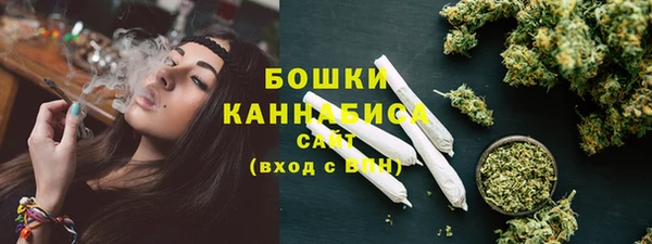 ГАЛЛЮЦИНОГЕННЫЕ ГРИБЫ Богданович